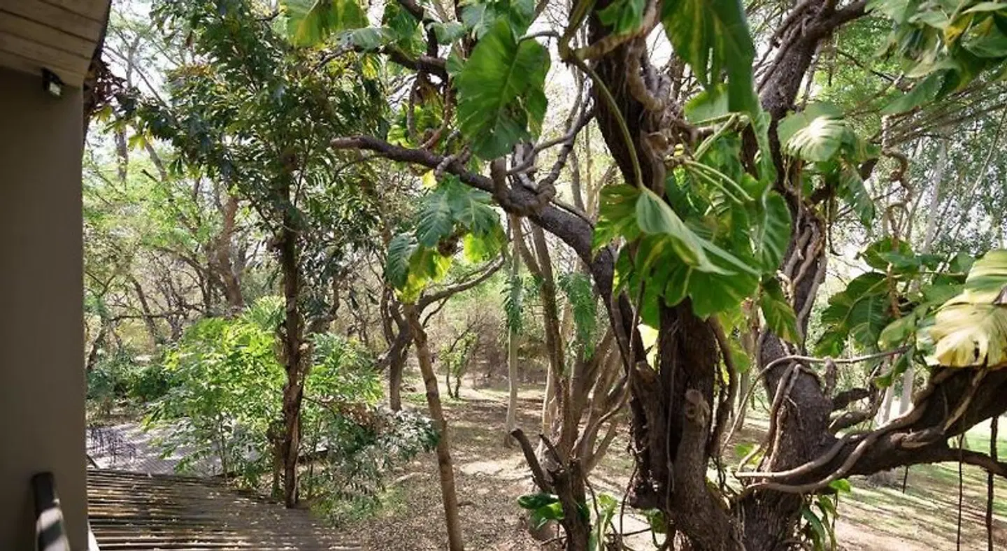 Kruger Eden Lodge Landschaft