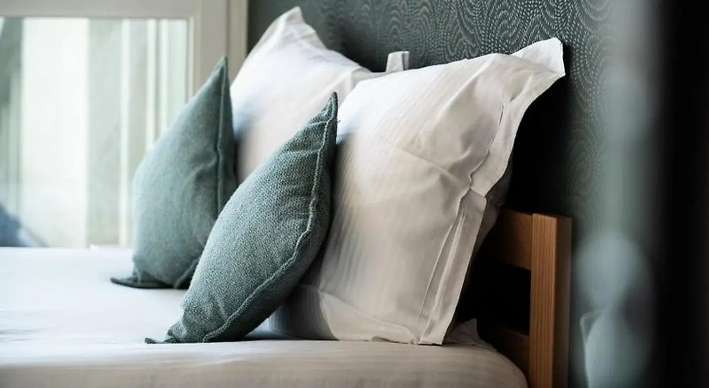 Centre Jean XXIII Tiere