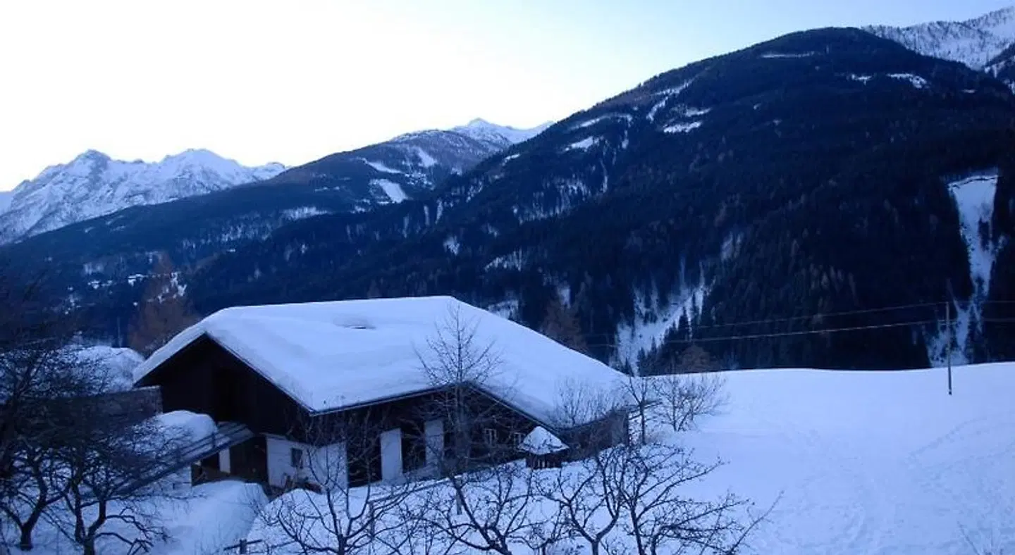 Familienbauernhof Mesner Tiere