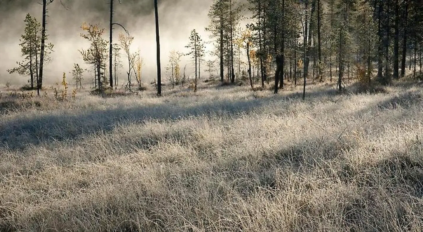 Holiday Club Salla - Holiday Apartments Tiere