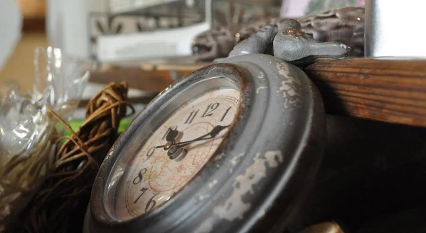 Hofgarten Rosa SPORTS_AND_LEISURE