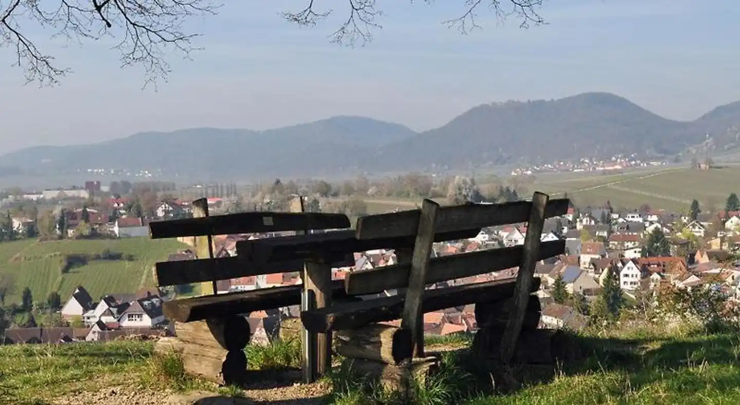 Hofgarten Rosa Landschaft