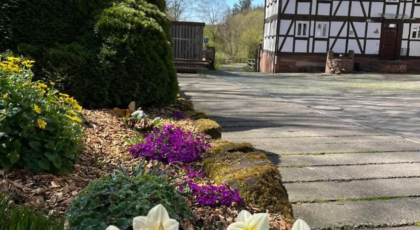 Pension Untere Mühle Terrasse