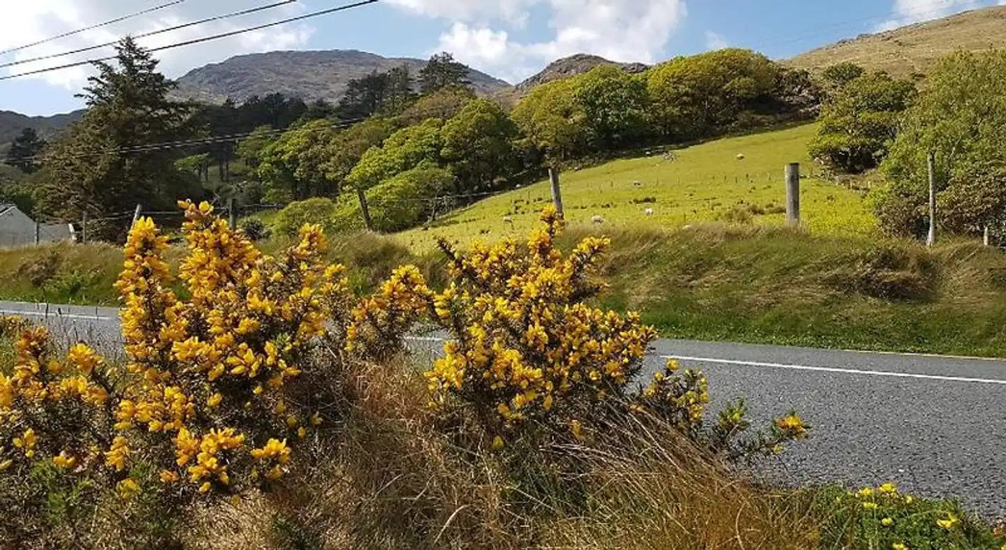 Kylemore Pass Inn Landschaft