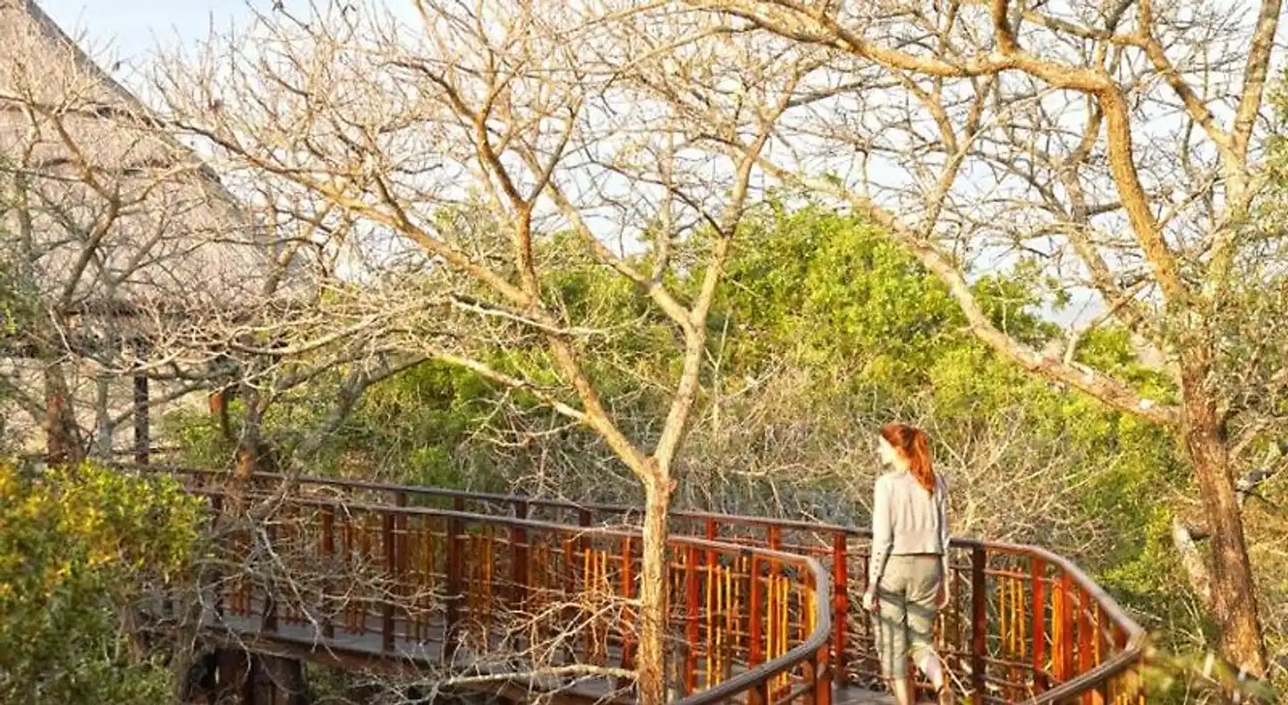Jumeirah Thanda Safari Terrasse