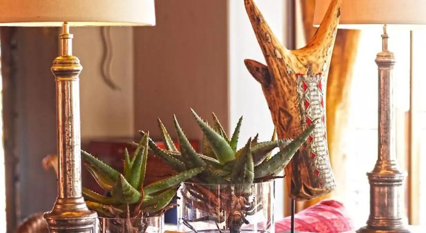 Jumeirah Thanda Safari Restaurant