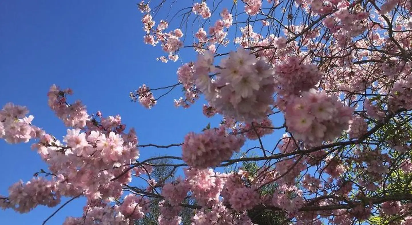 Cashmere Hills B&B Tiere