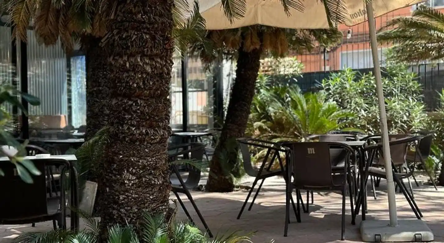 The Venue Hostel Terrasse