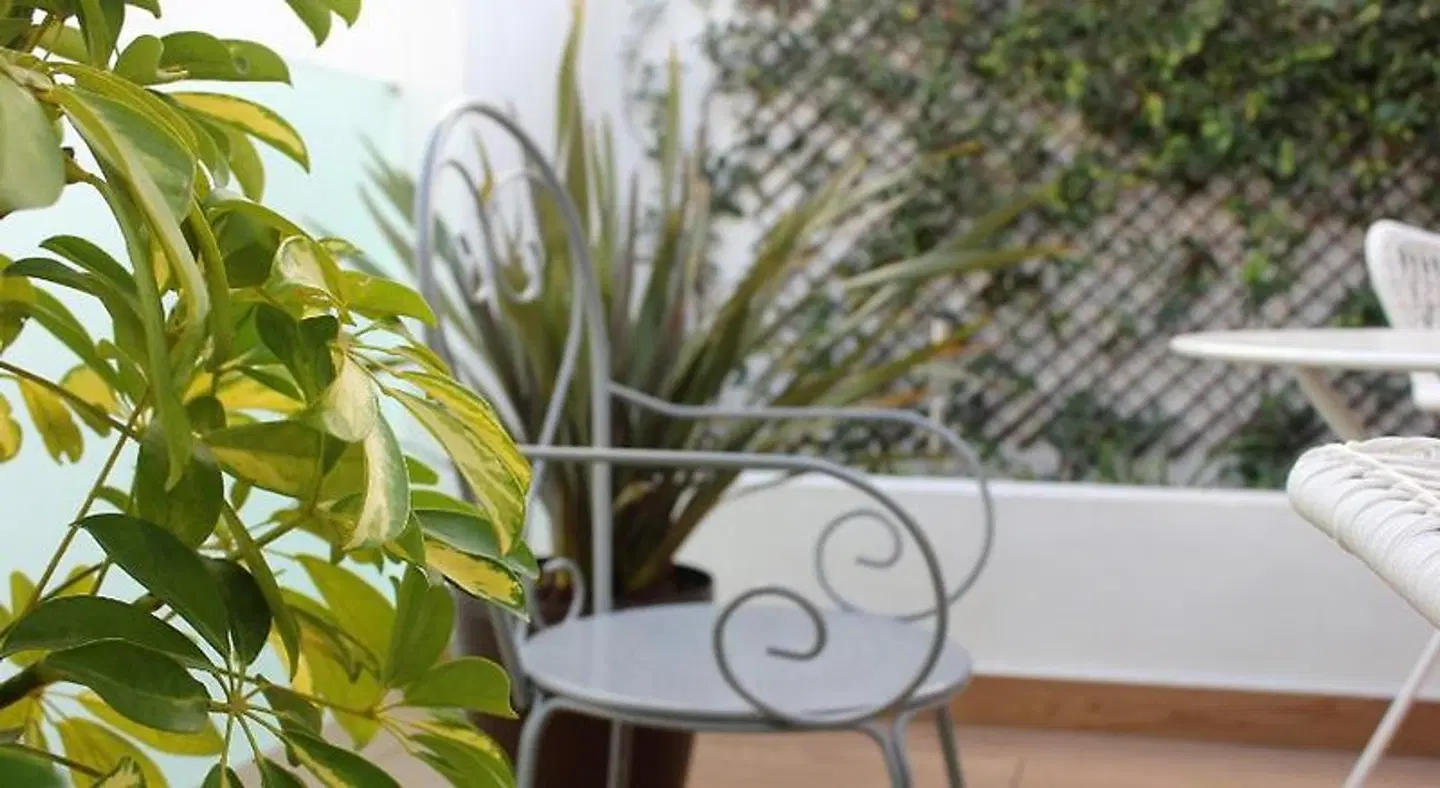 Apartamentos Barracart Terrasse