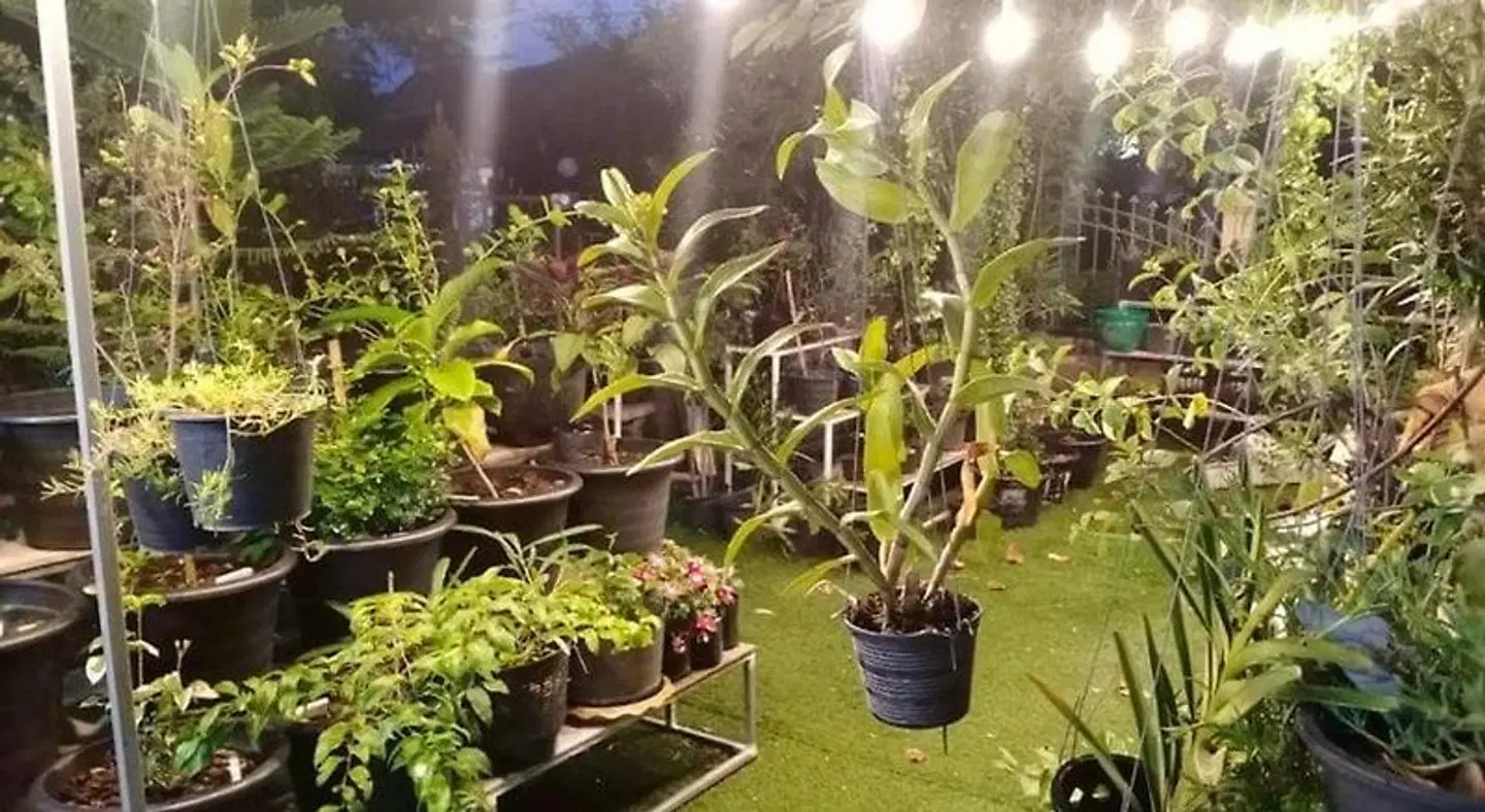 Daddy's Homestay Garten