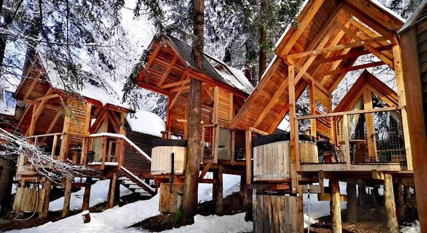 Ribno Alpine Glamping EXTERIOR