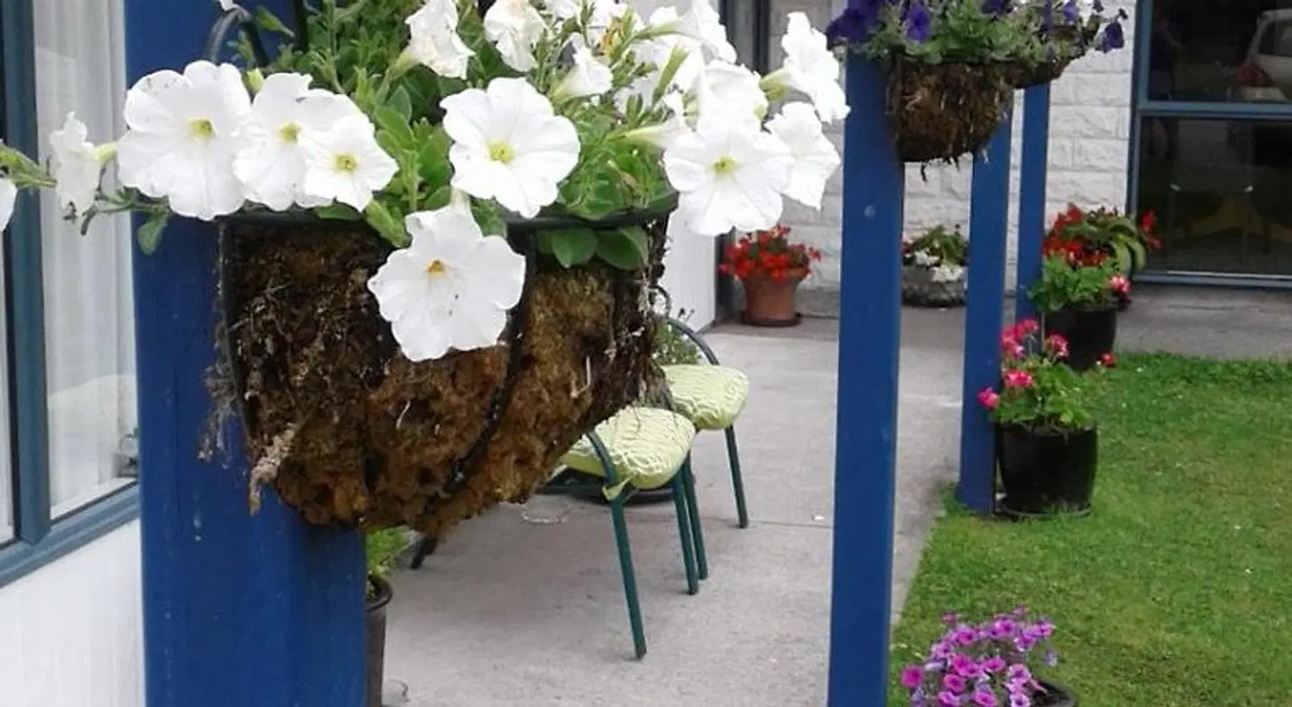 Blue Spur Bed and Breakfast Restaurant