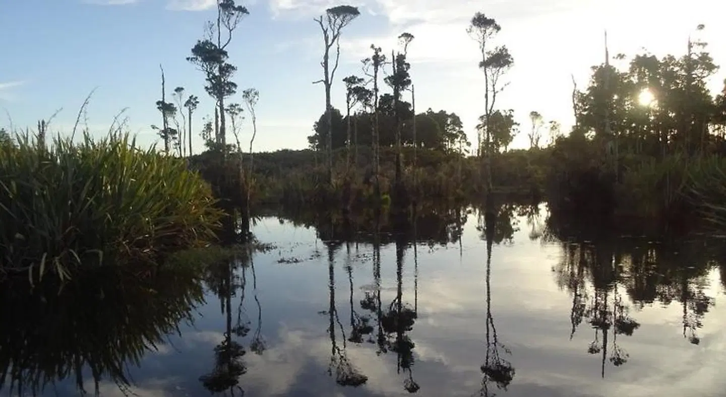 Blue Spur Bed and Breakfast LANDSCAPE