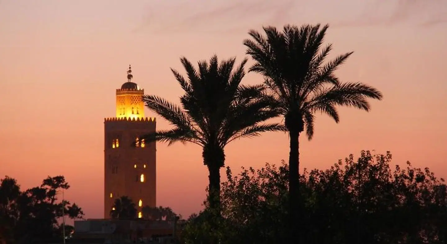 Riad Atlas Acacia LANDSCAPE