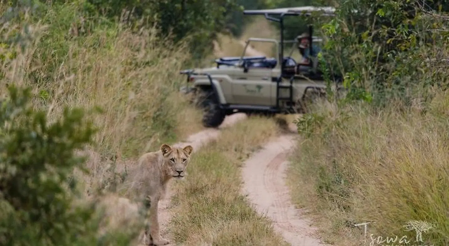 Tsowa Safari Island SPORTS_AND_LEISURE