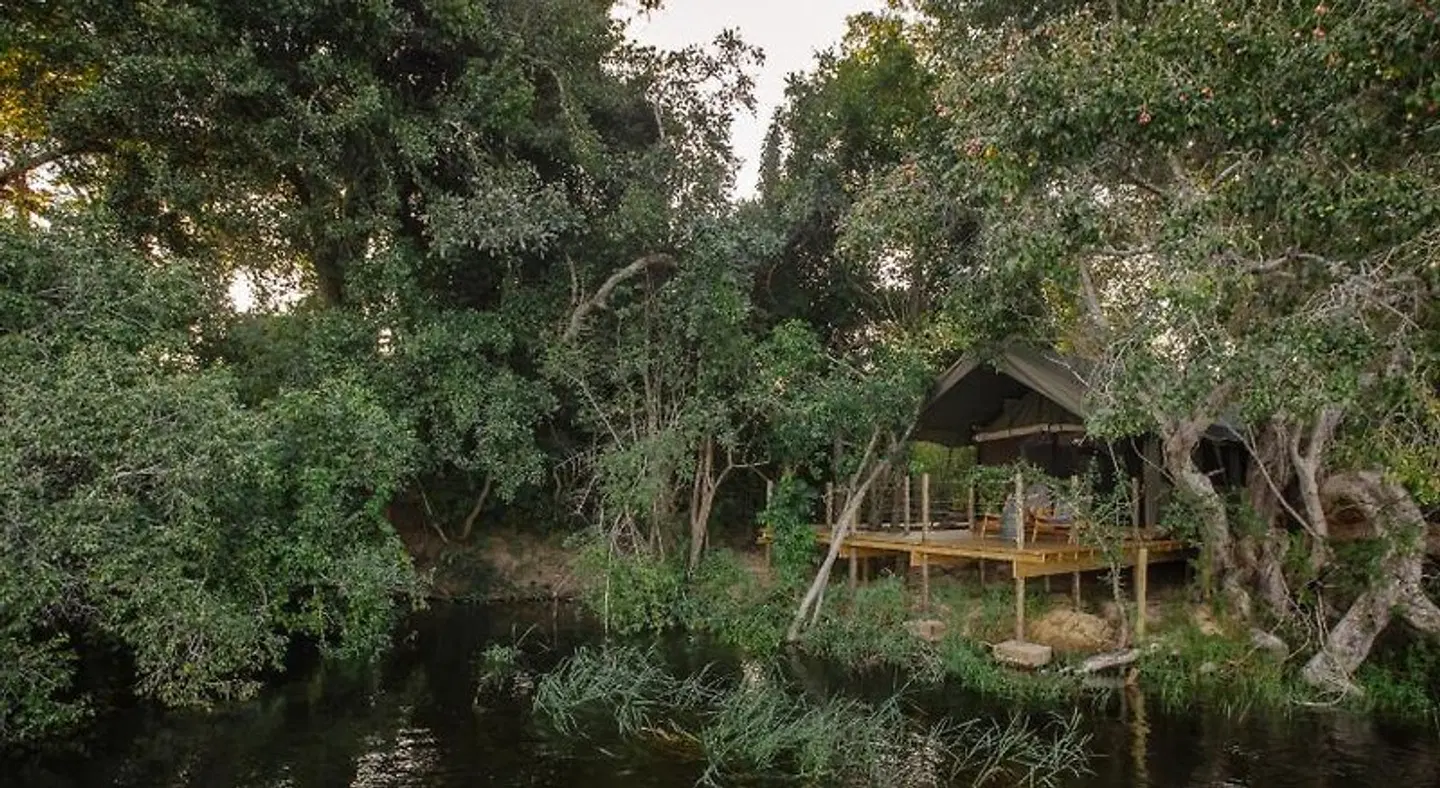 Tsowa Safari Island Garten
