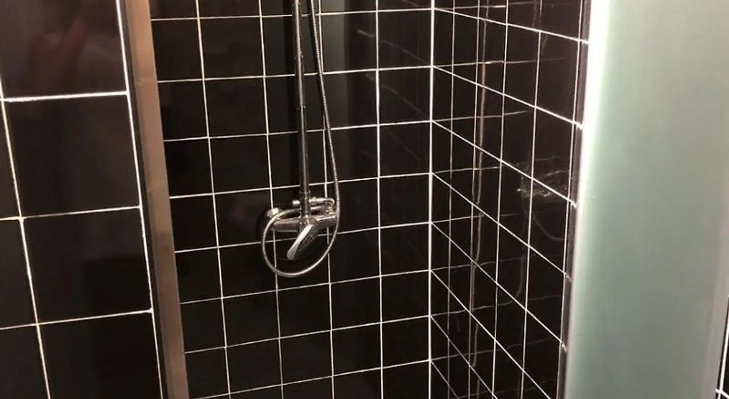 Lisbon Lounge Hostel Tiere