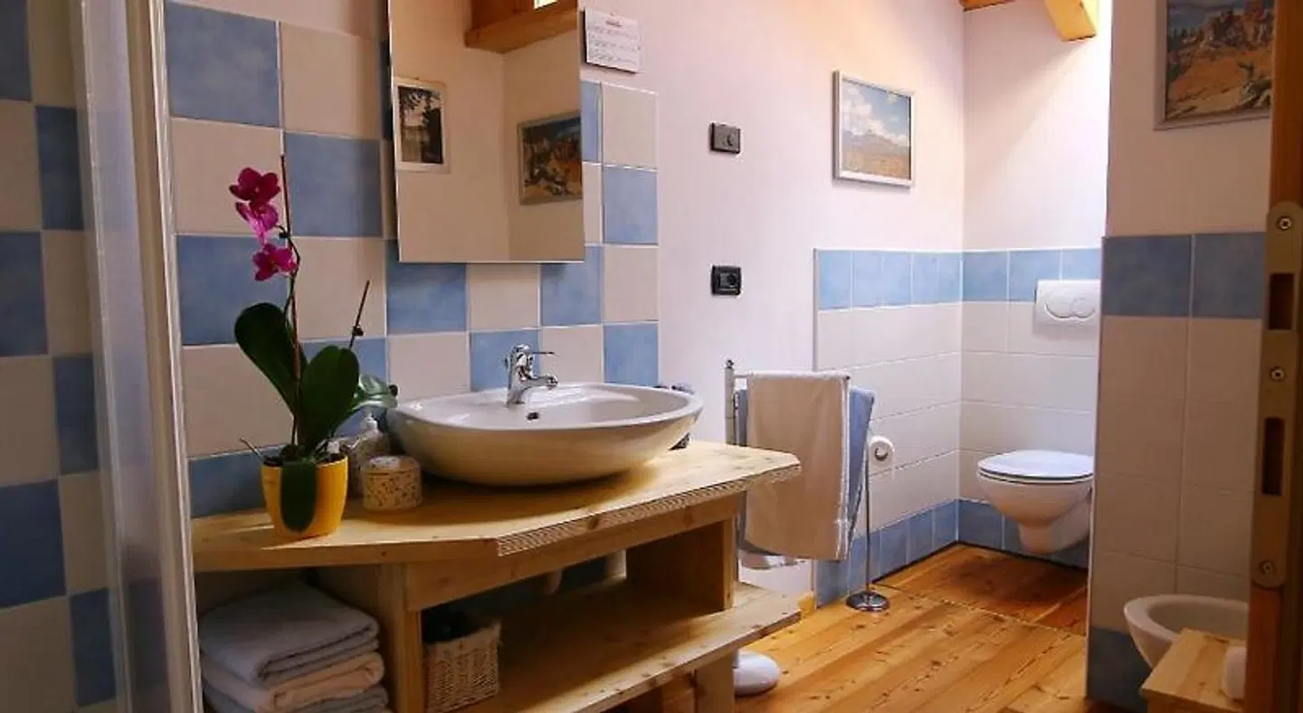 Activity B&B Badezimmer