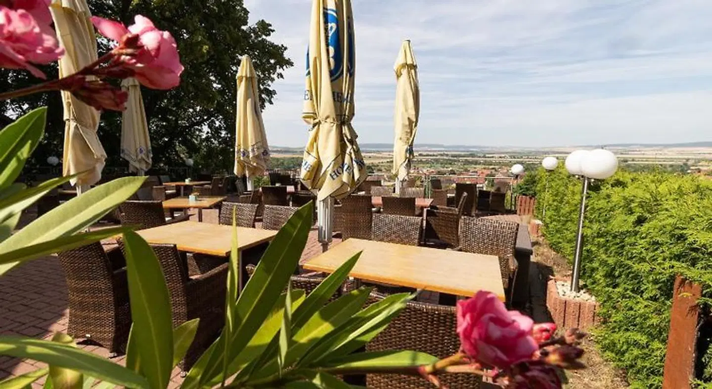 Weinberg Terrasse
