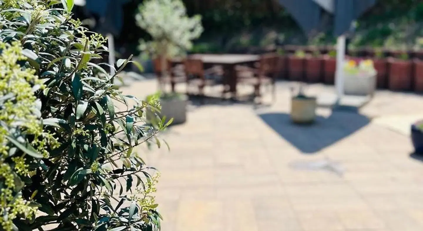 Stuckhotel Fettehenne Terrasse