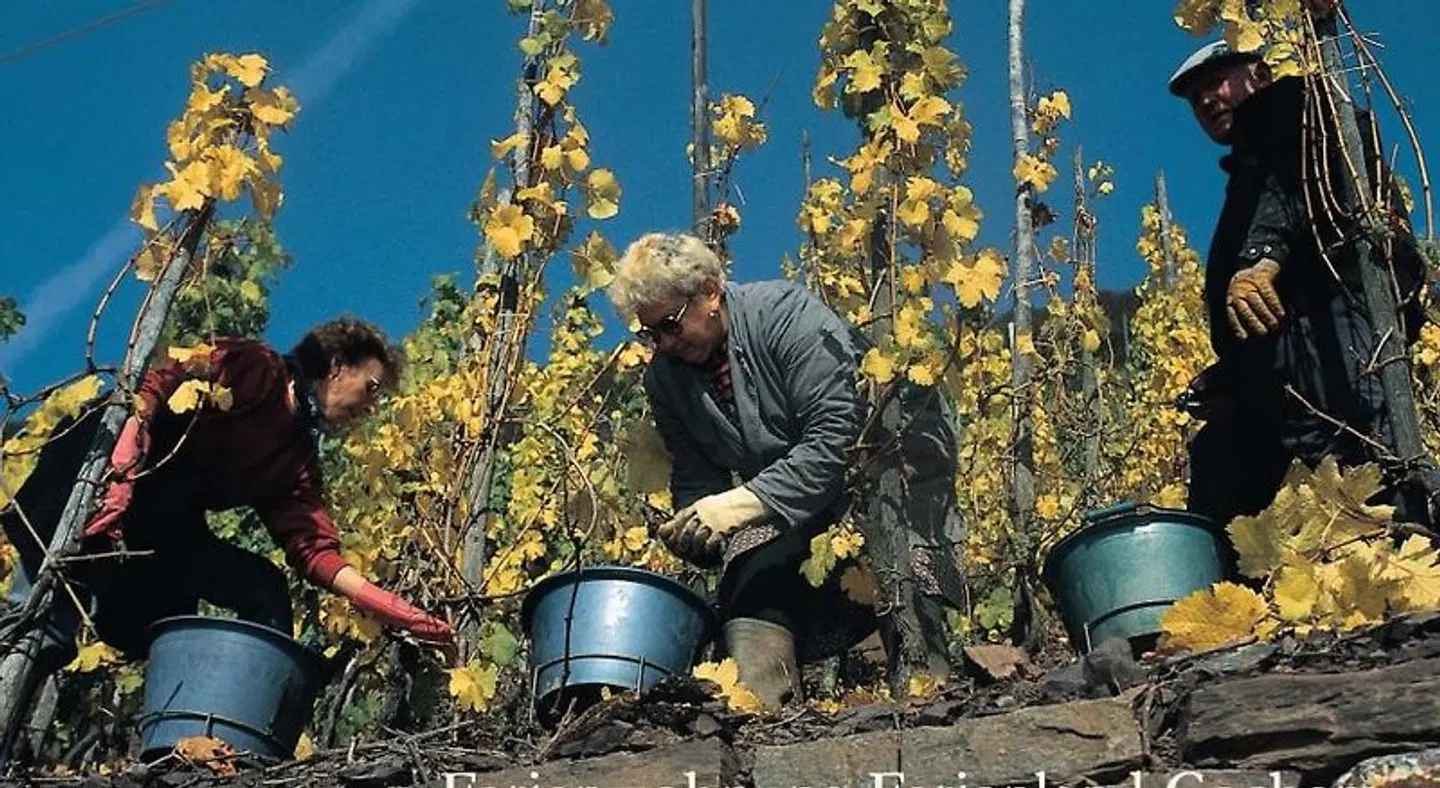 Ferienwohnungen Ferienland Cochem SPORTS_AND_LEISURE