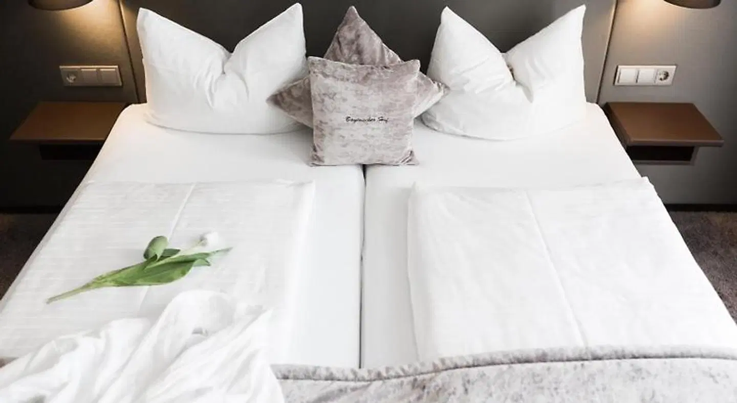 Hotel SONATA ROOM_EXAMPLE