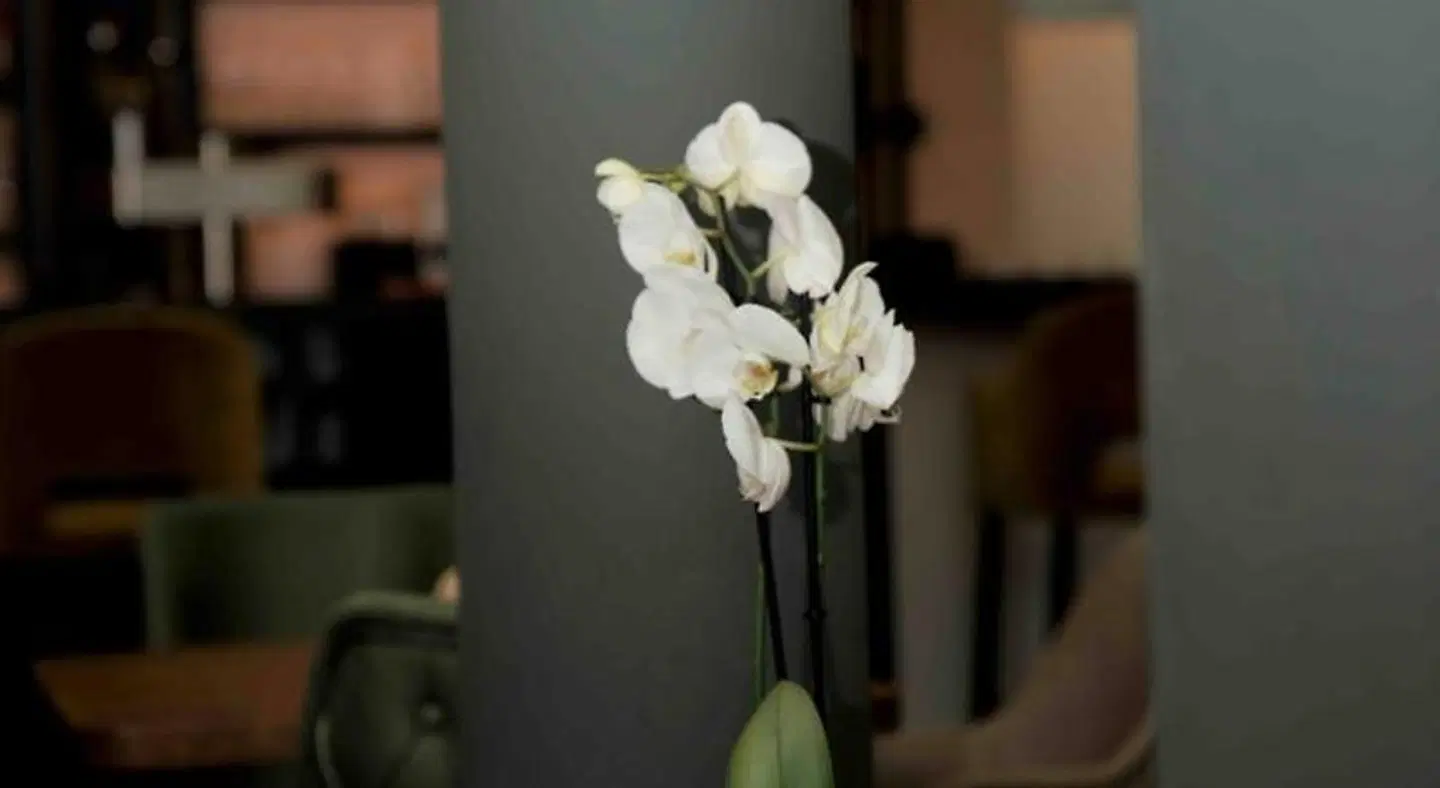 Central Hotel & Lounge Adult Only Tiere