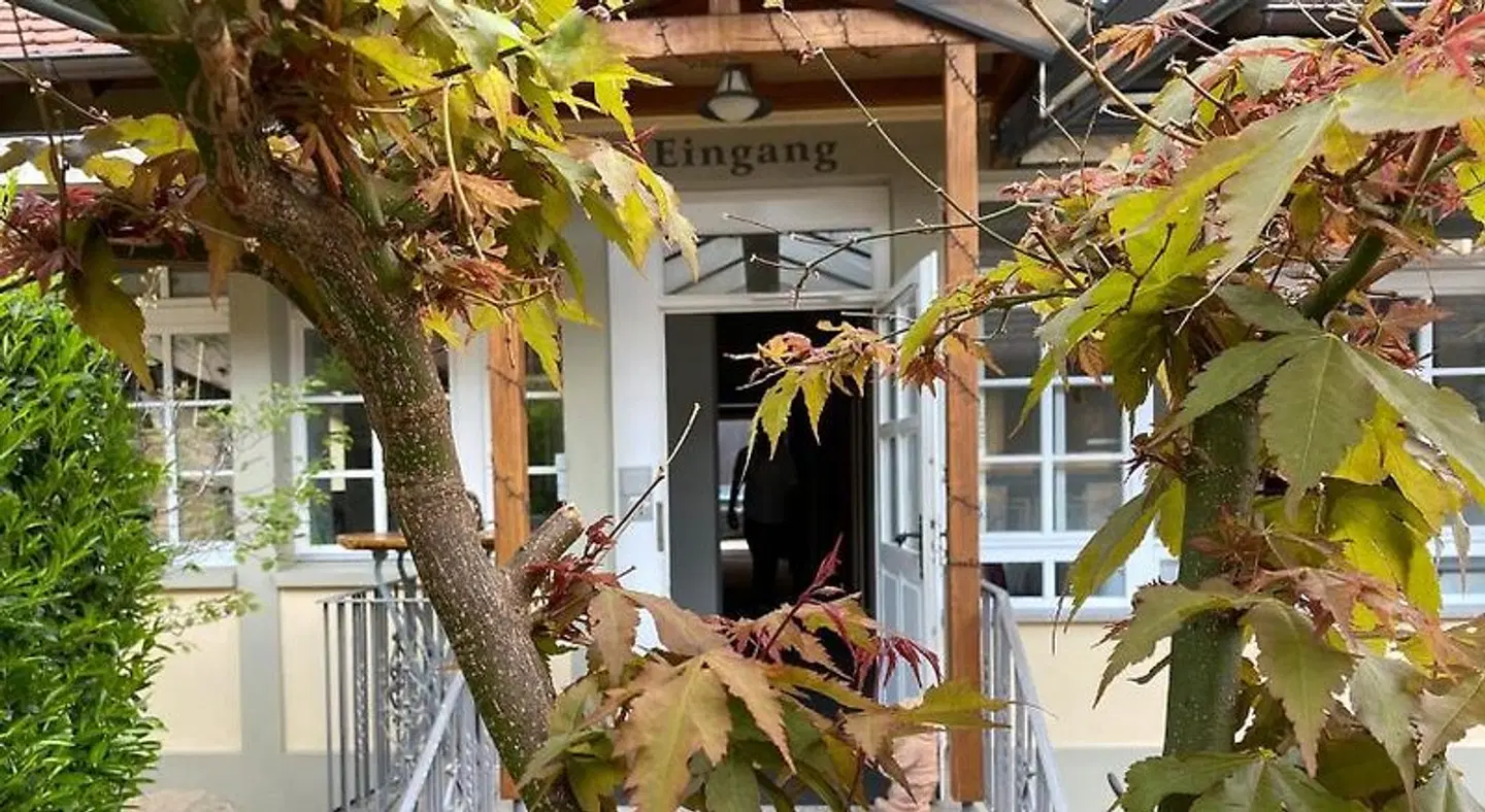 Rebstock EXTERIOR