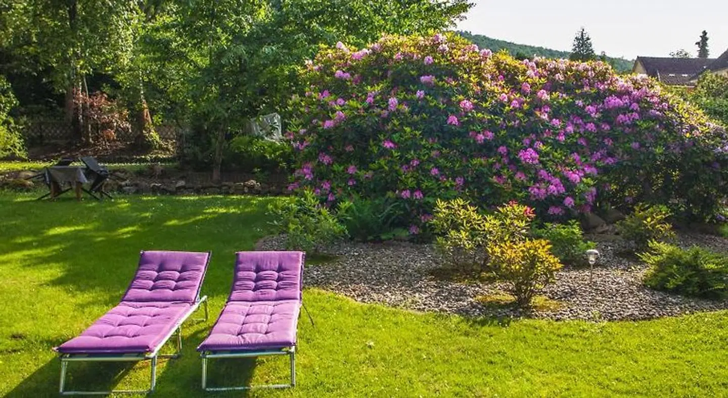 Rosenau Garten