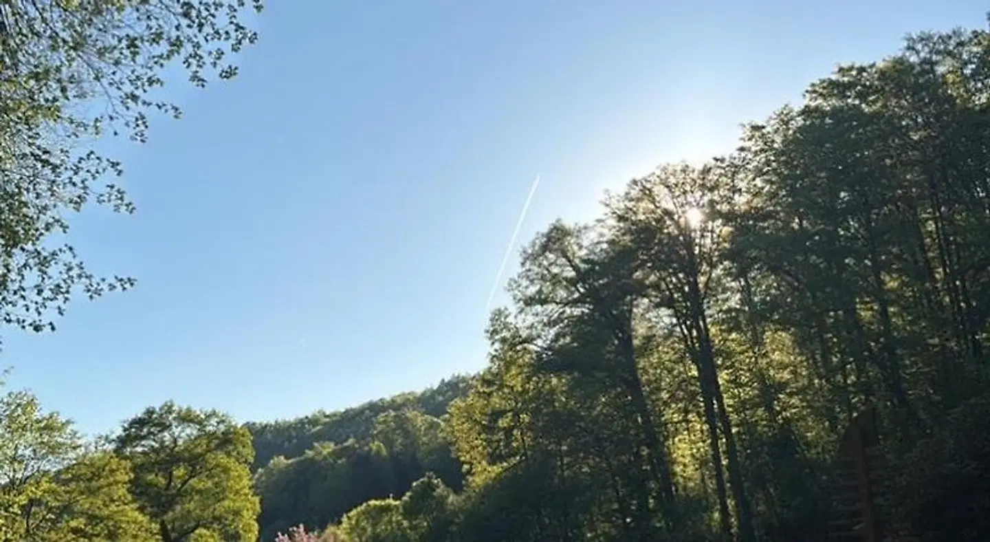 Jagdhaus Heede LANDSCAPE