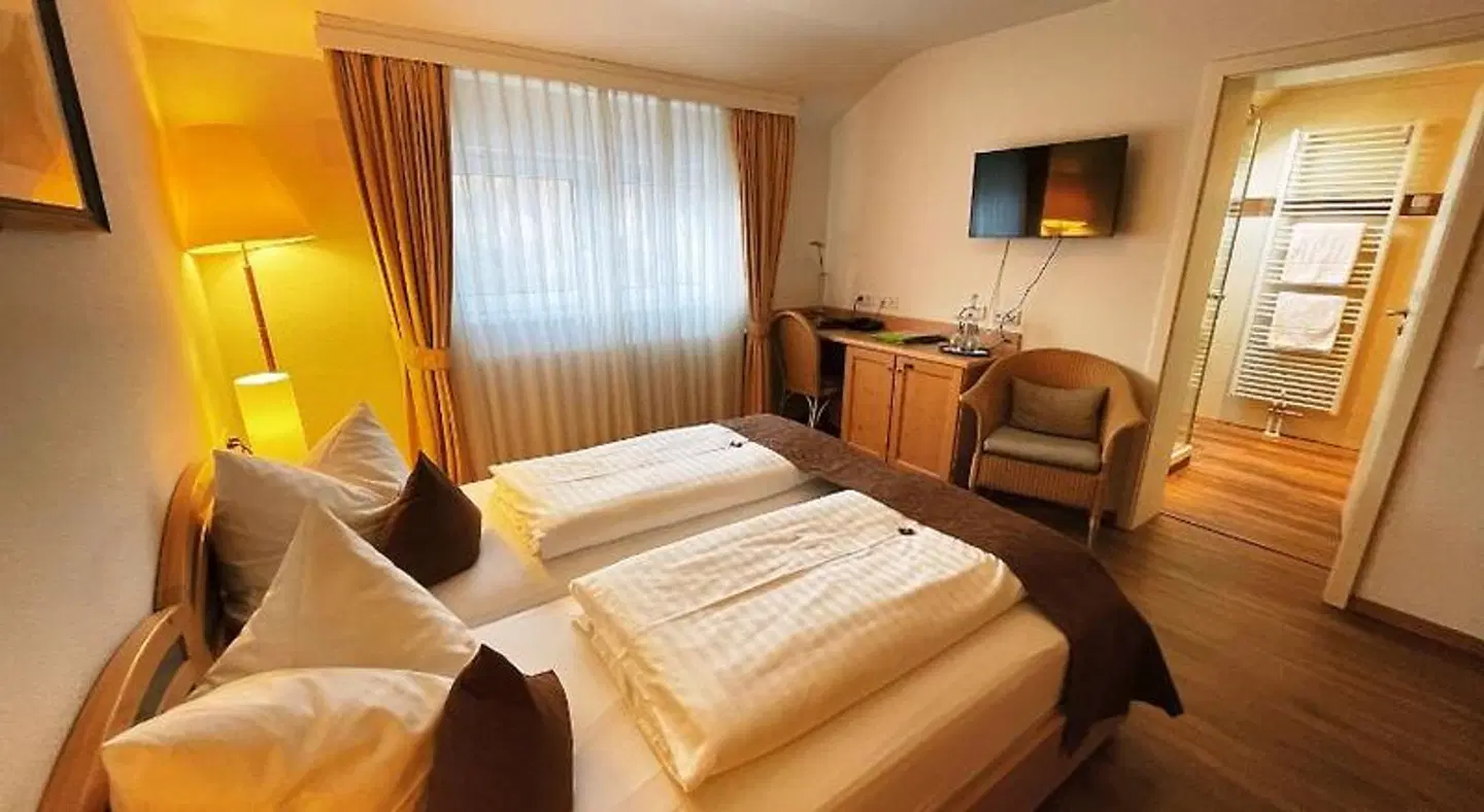 Albhotel Malakoff - House of Nature ROOM_EXAMPLE