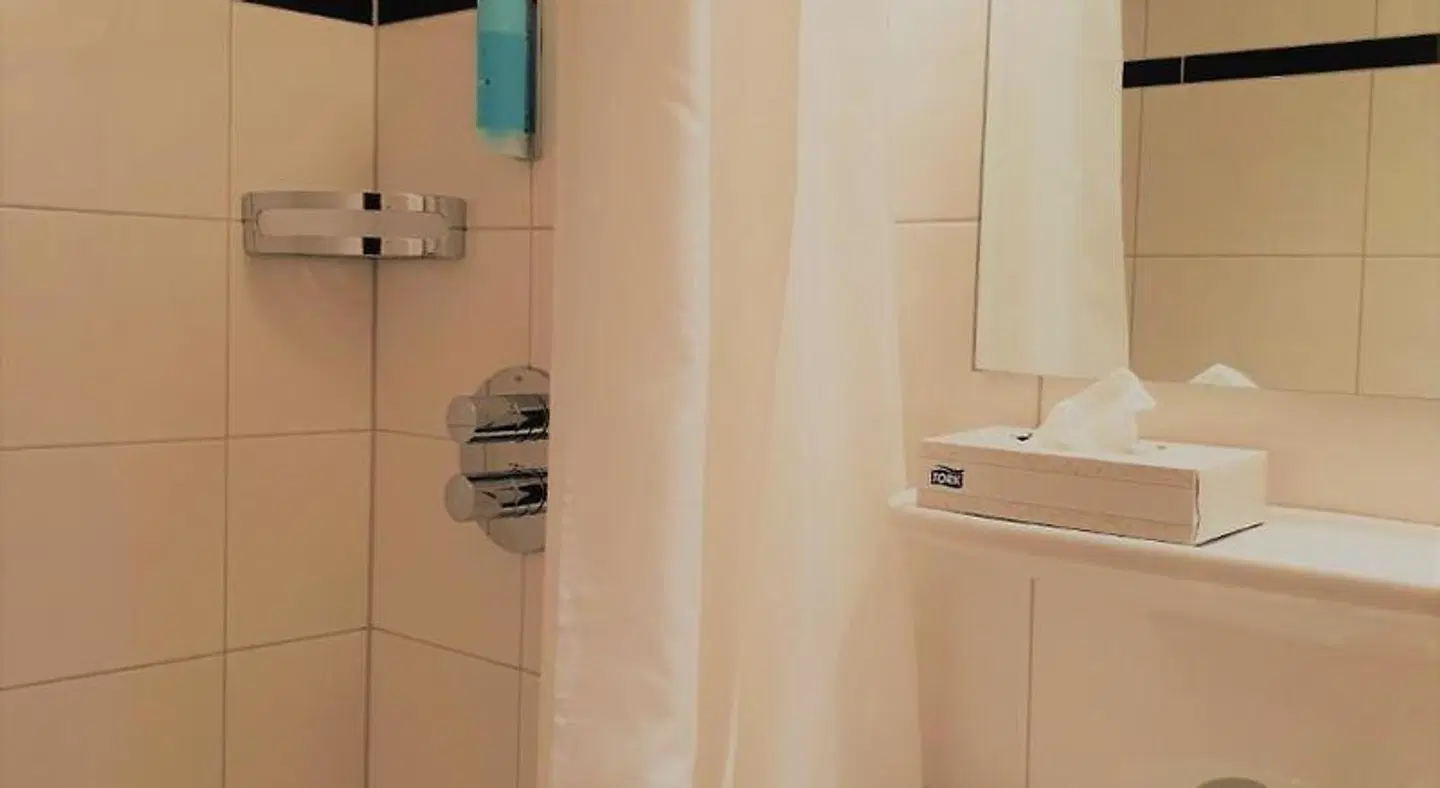 Rebstock Badezimmer