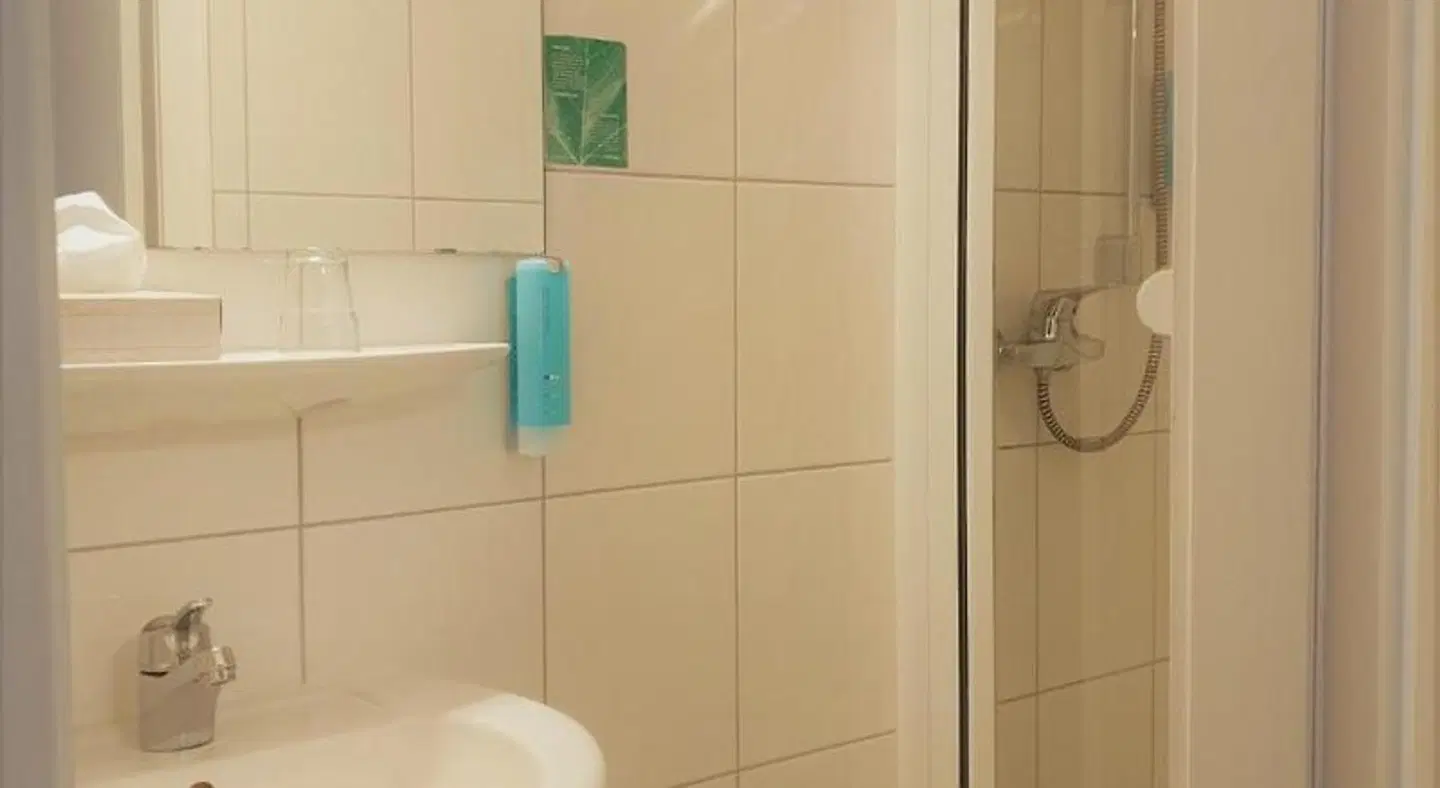 Rebstock Badezimmer