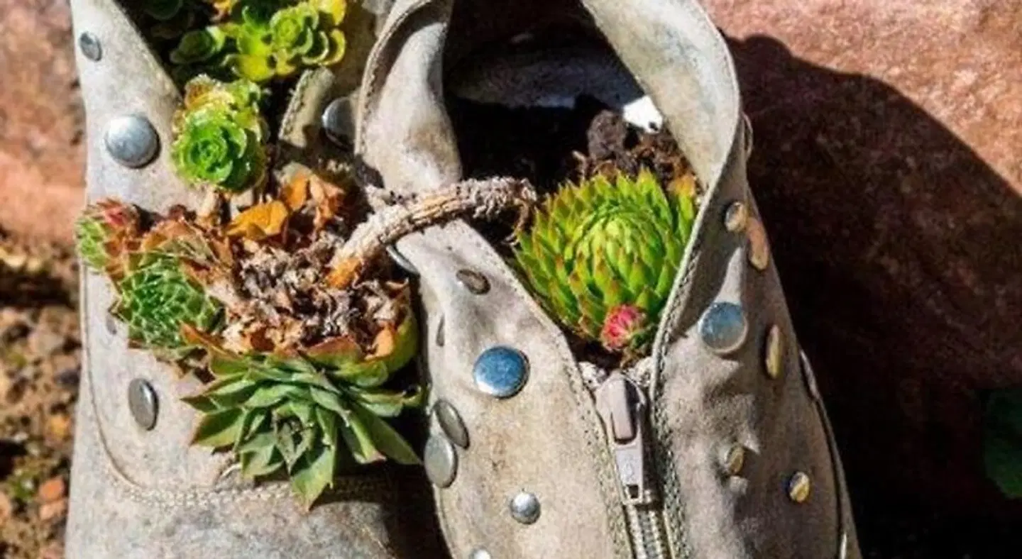 Villa Croatia & Restaurant Adria Tiere