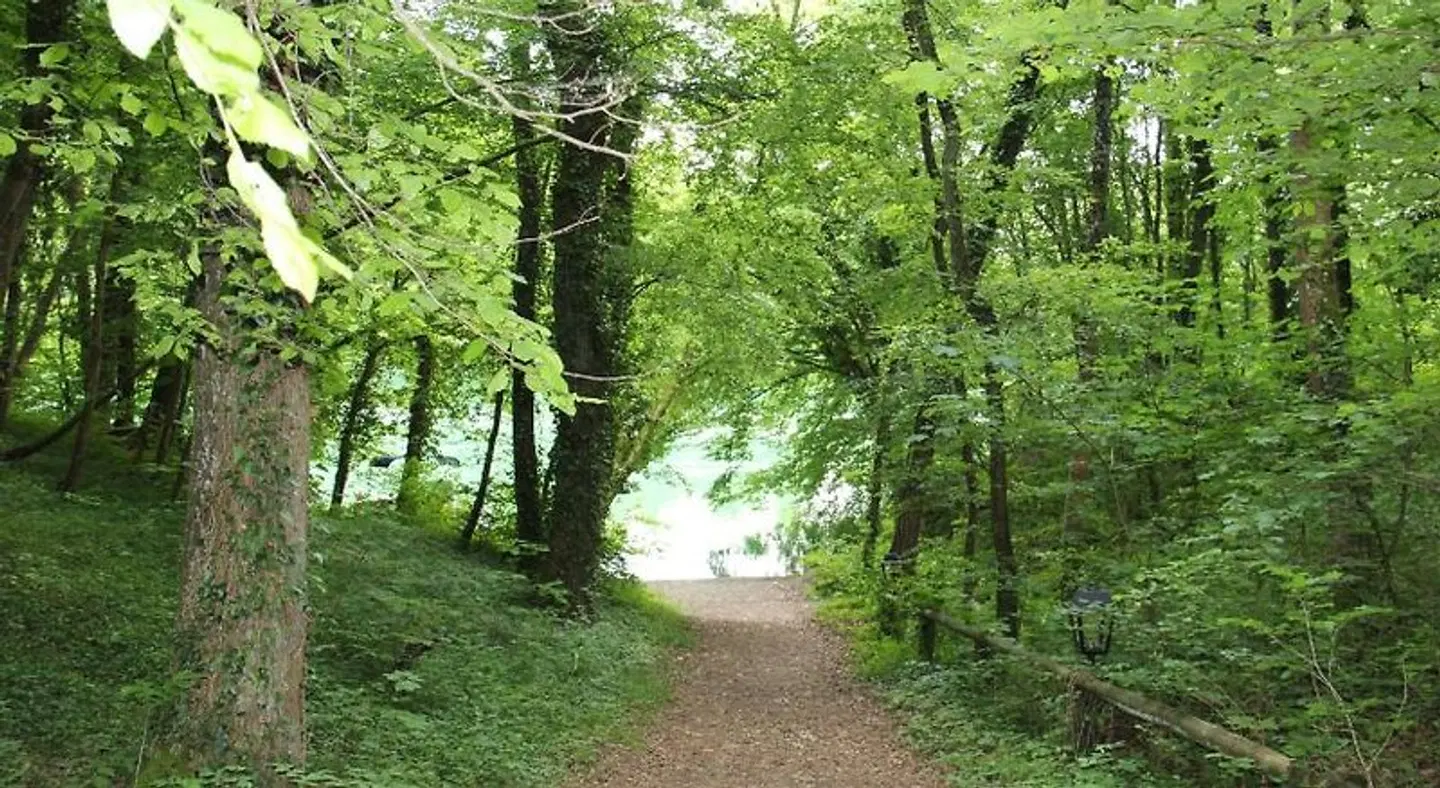 Wasserstelz LANDSCAPE