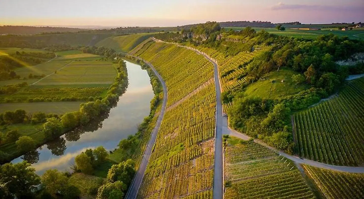 exNicrum Wein . Genuss . Hotel LANDSCAPE