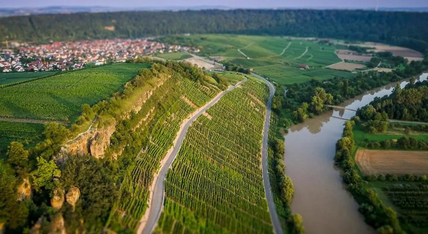 exNicrum Wein . Genuss . Hotel LANDSCAPE