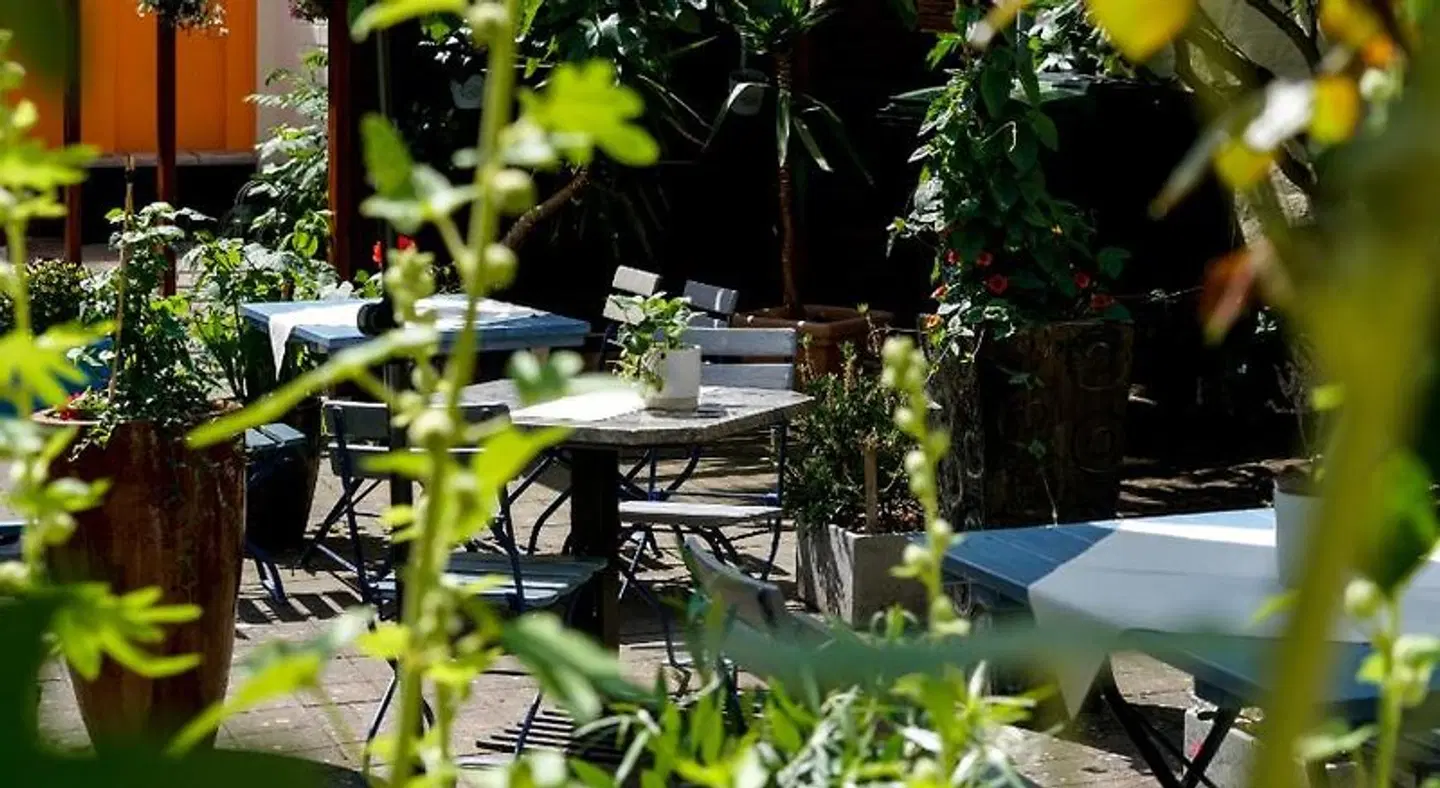 Zur Mühle Garten