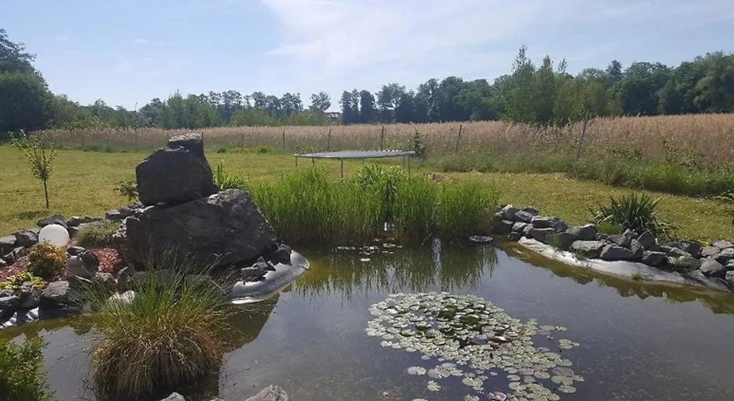 Ferienhaus am Teich LANDSCAPE