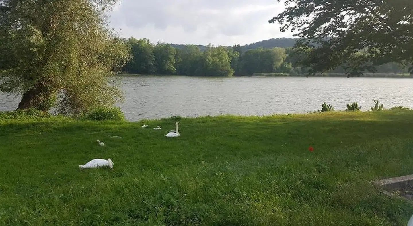 Ferienhaus am Teich LANDSCAPE