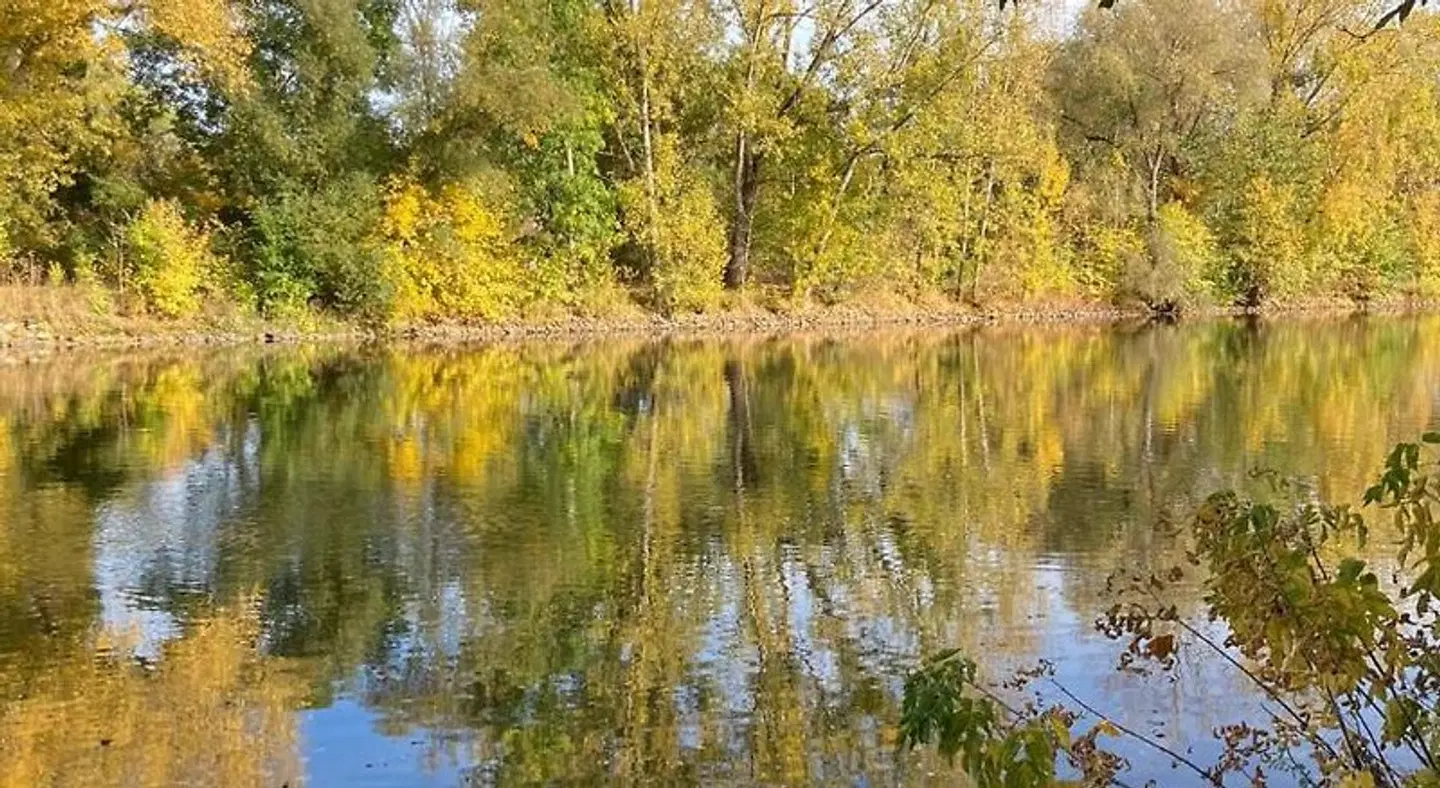 Pension Am Rosental Merseburg LANDSCAPE