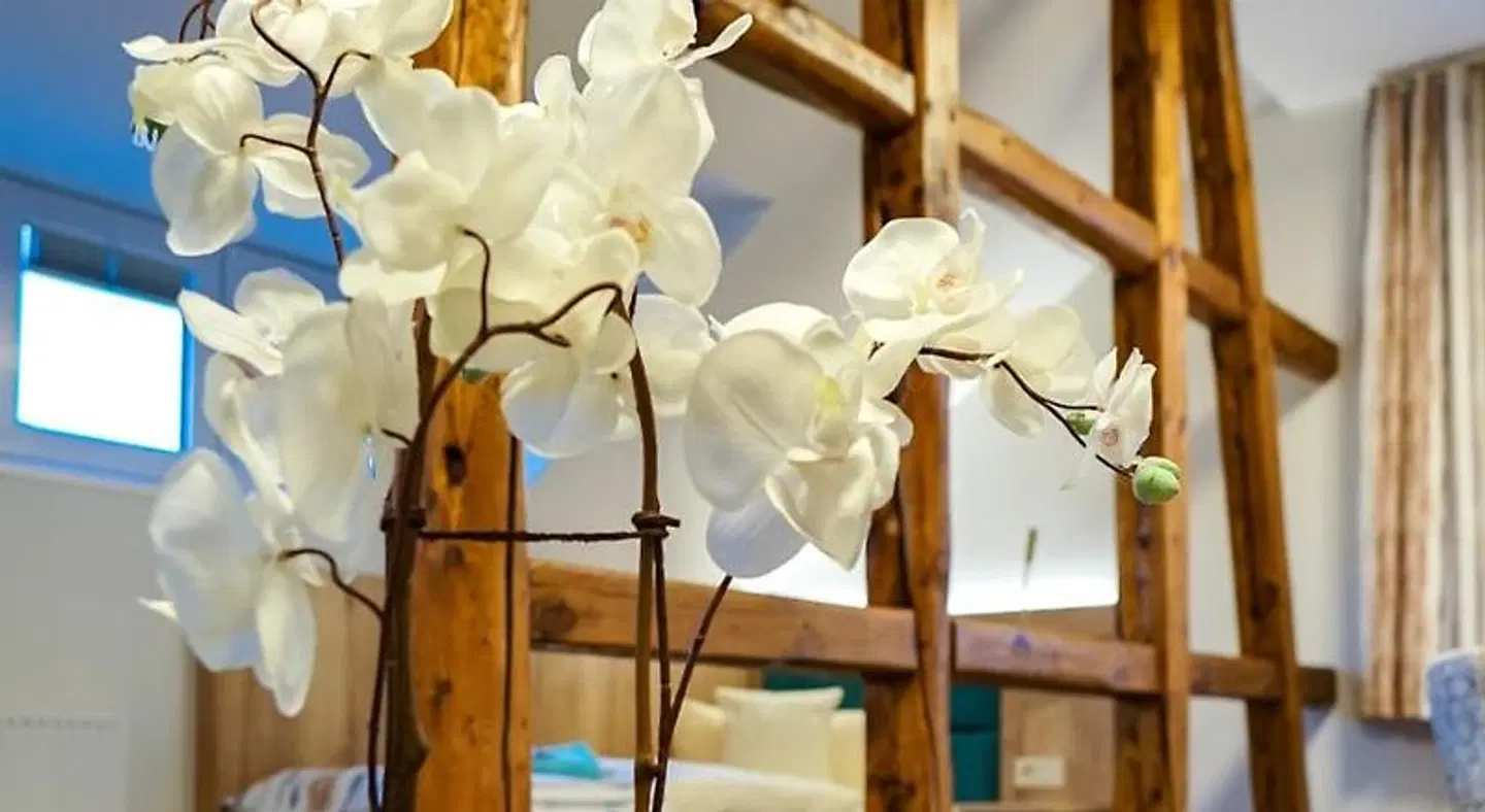 Villa Frieden Hotel & Seminarhaus Tiere