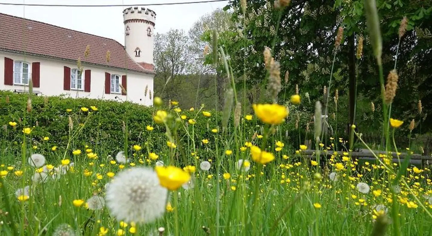 Pension Kastanienhof Garten