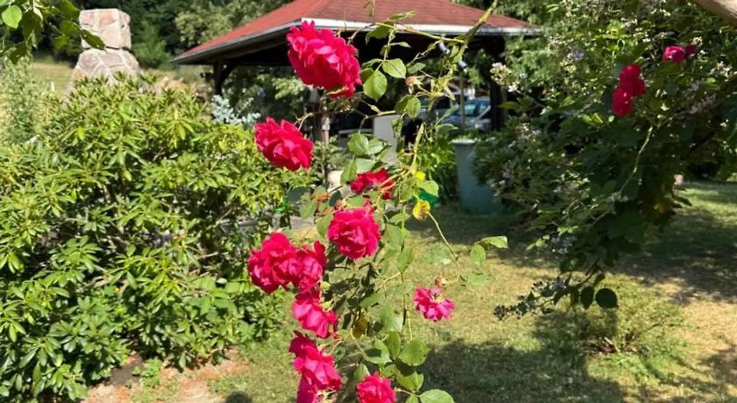 Haus Sonnenwalde - Familie Ruhe Garten