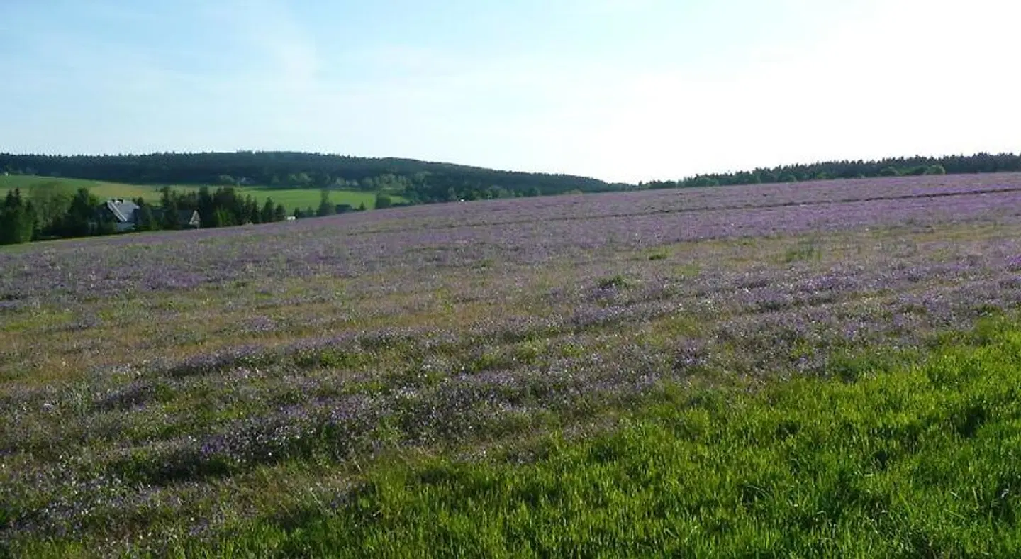 Gasthaus Ruebenau LANDSCAPE