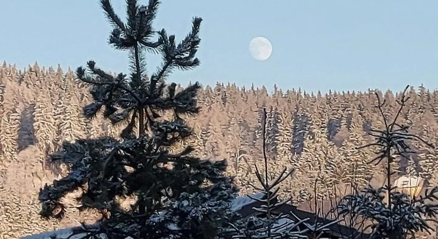 Pension & Gasthof "Am Park" UG LANDSCAPE