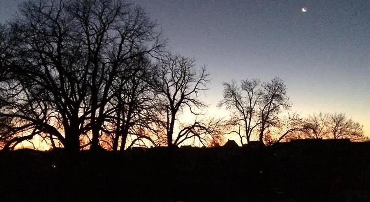 Alte Druckerei Tiere