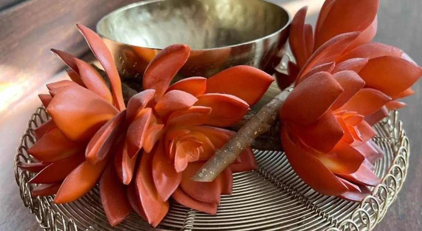 Alte Druckerei Restaurant