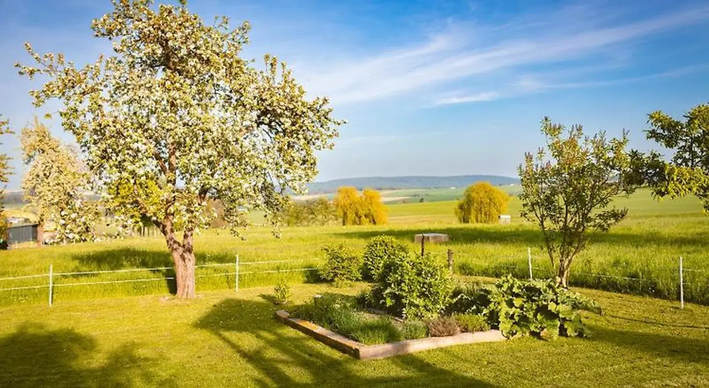 Gasthof Drei Schwanen LANDSCAPE
