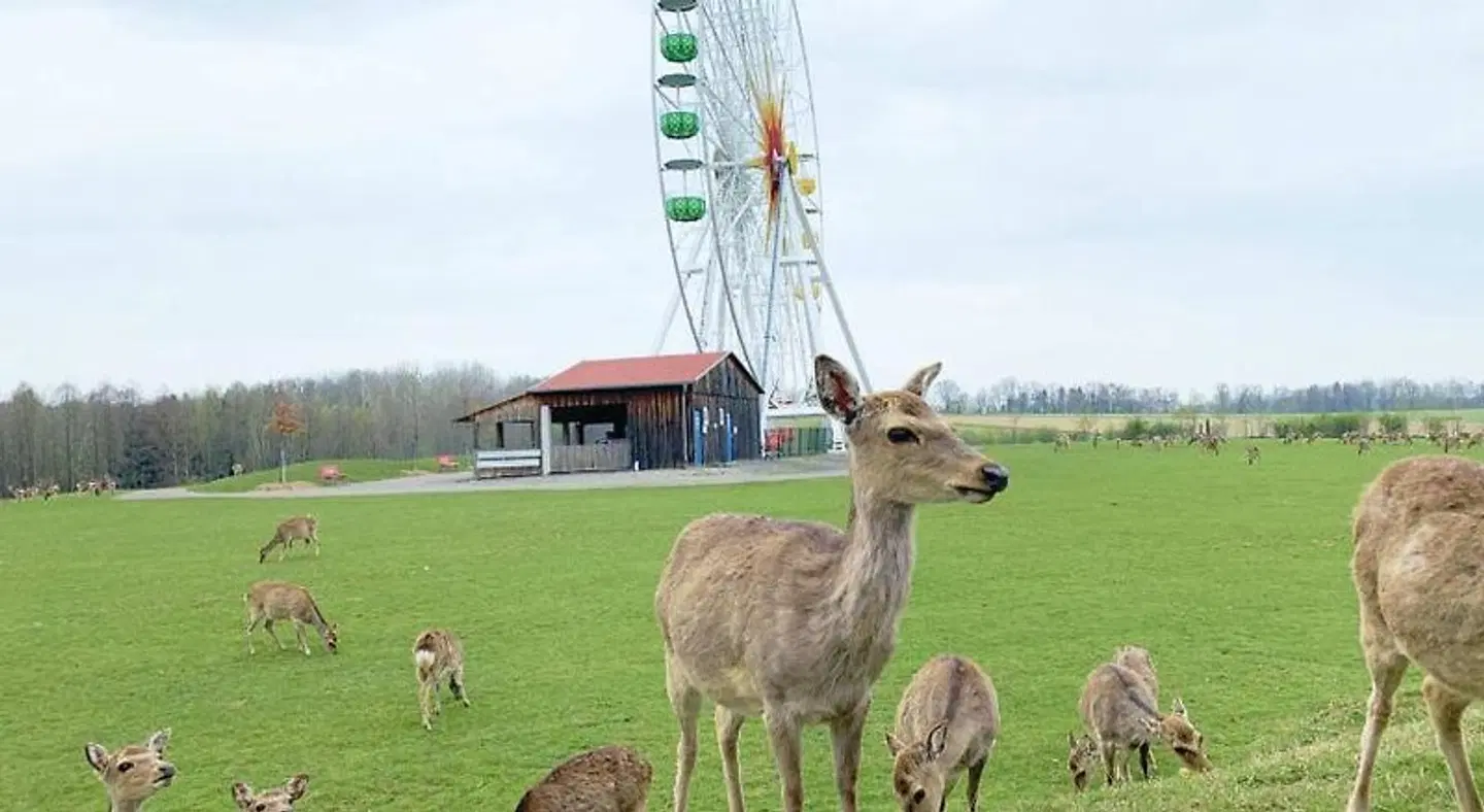 Hotel am Sonnenlandpark Tiere